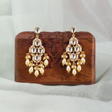 Gold Plated Pearl and Polki Choker Nacklace With Earrings